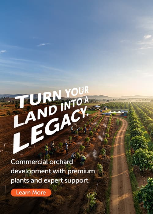 Turn your land into a legacy — commercial orchard development with premium plants and expert support.